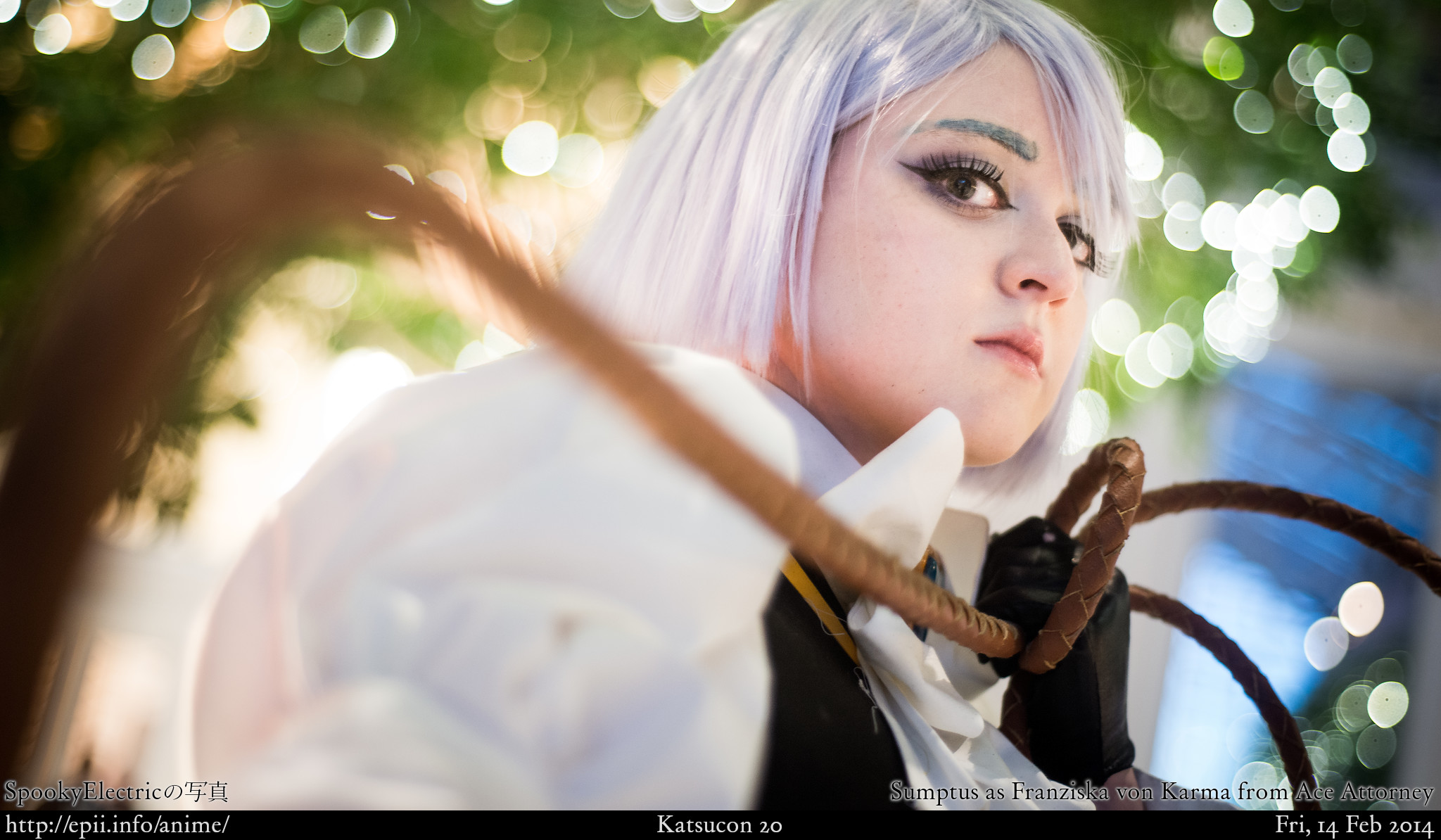 Ace Attorney Franziska von Karma 7584 eπi.info
